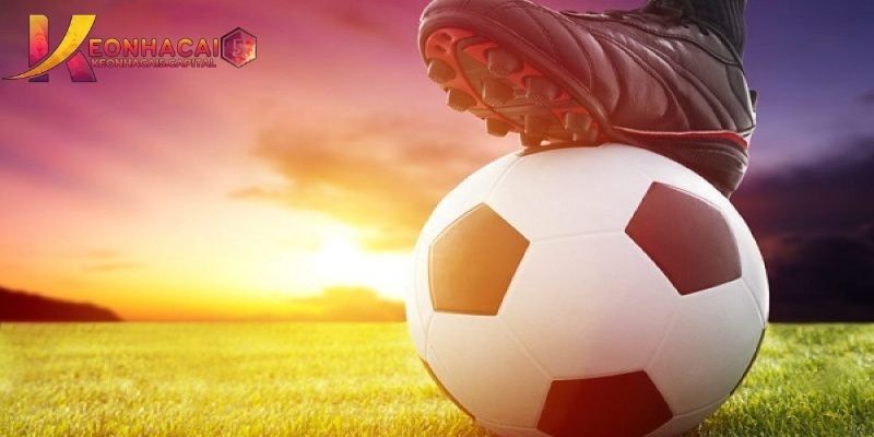 Trách nhiệm của hội viên trong điều khoản tại trang web